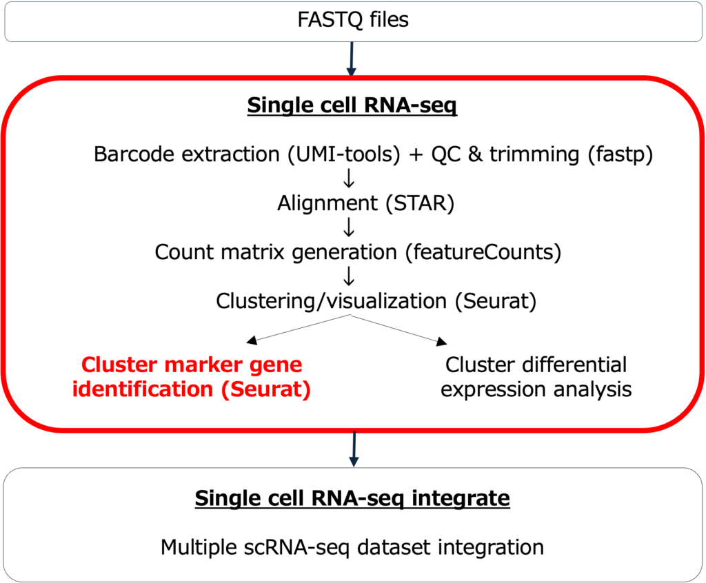 図1.「Single cell RNA-seq」や「single cell RNA-seq integrate」パイプラインのワークフロー。