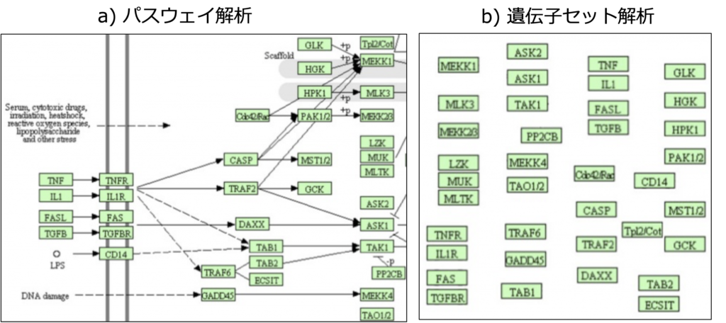 図1. a)パスウェイ解析とb)遺伝子セット解析の比較（参考文献1より改変）。
