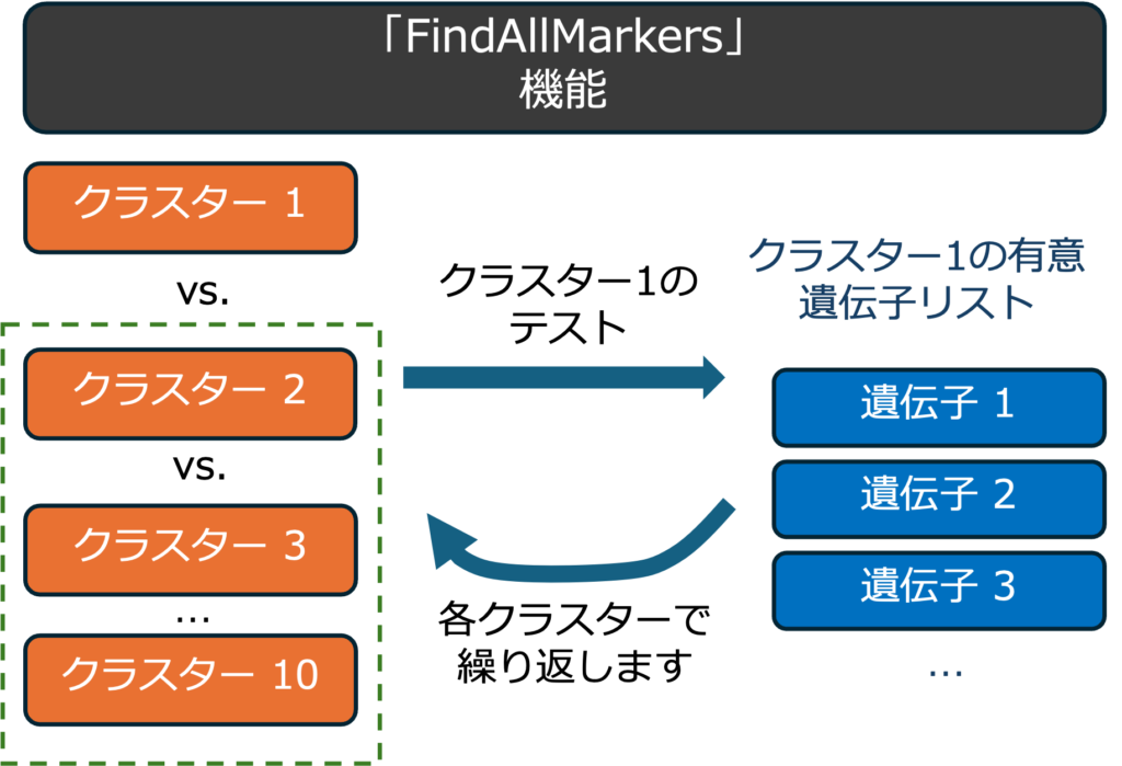 クラスターマーカー遺伝子同定のワークフロー（参考文献(1)からの改変）。