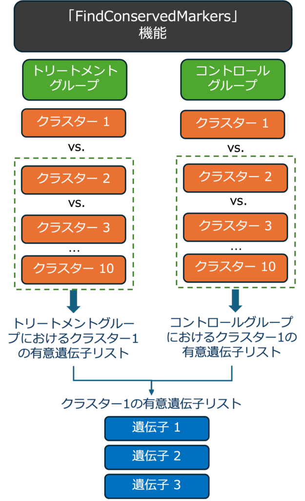 保存マーカー遺伝子同定のワークフロー（参考文献(1)からの改変）。