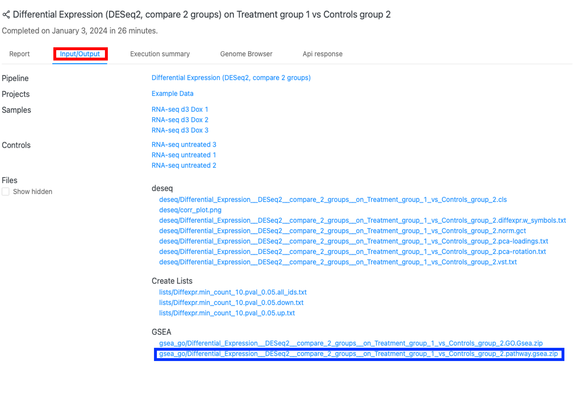 図1.「Input/output」ページのアウトプットファイル。