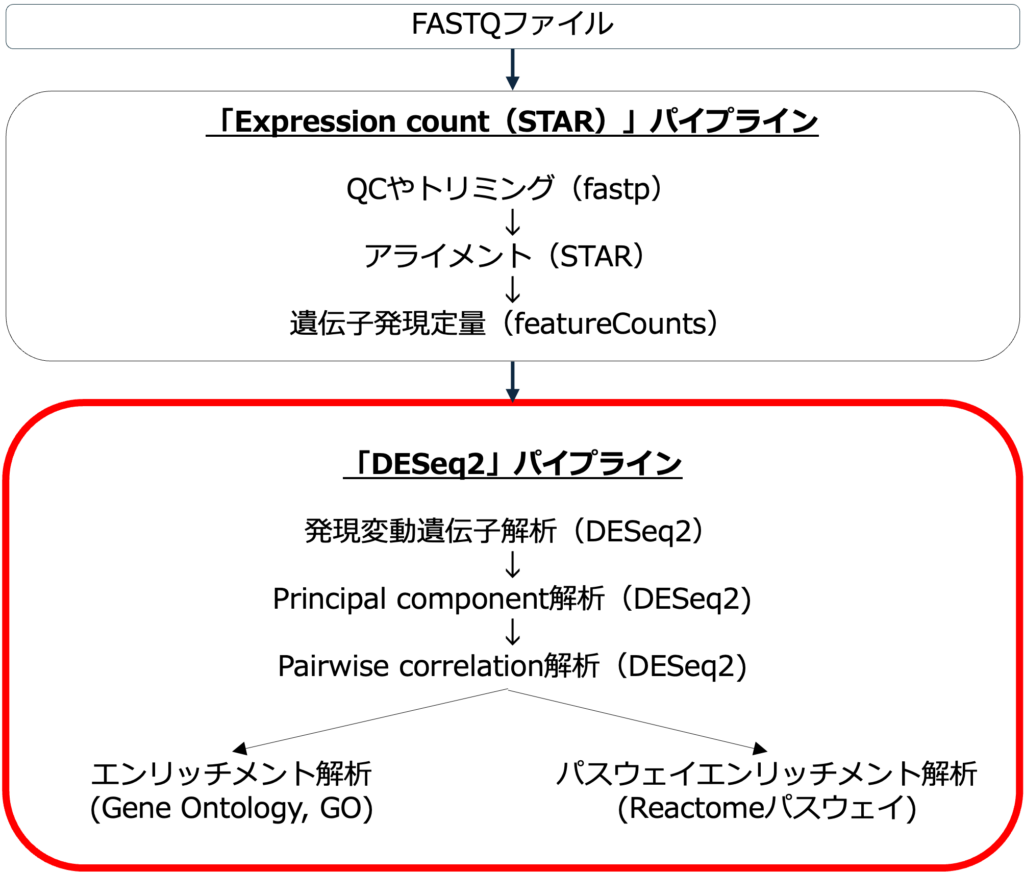 図1. DESeq2パイプラインのワークフロー