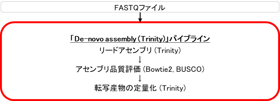 図1.De-novo assemblyパイプラインのワークフロー