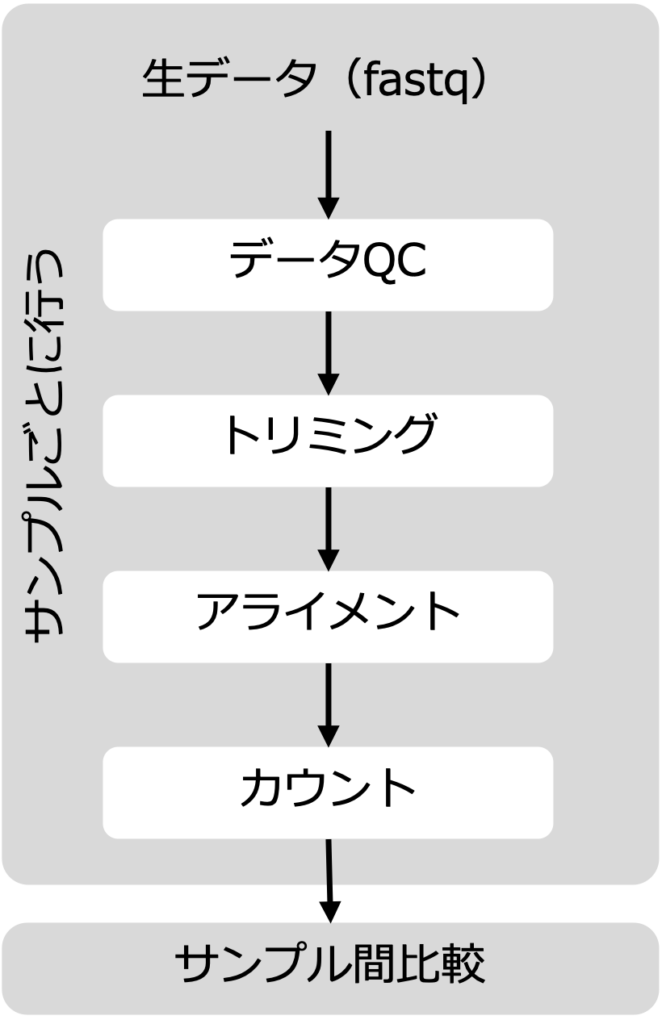 RNA-Seqデータ解析の流れ